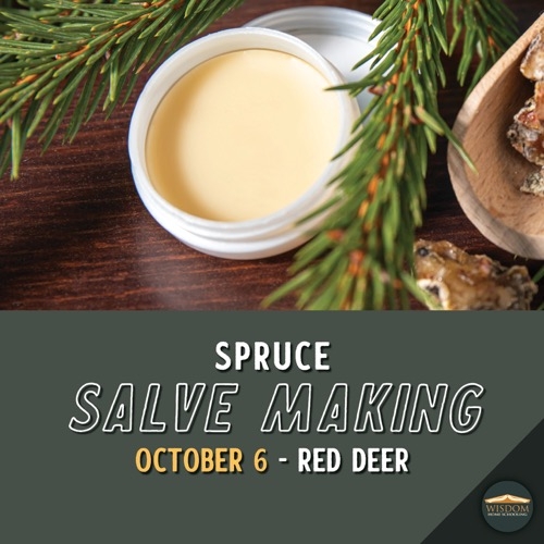 Spruce Salve Making - Red Deer <span>E1163</span>